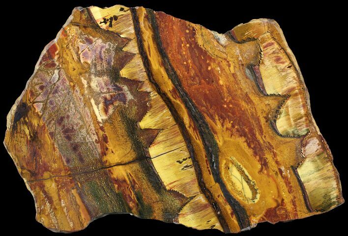 Marra Mamba Stromatolite - Mt Brockman ( Billion Years) #63093